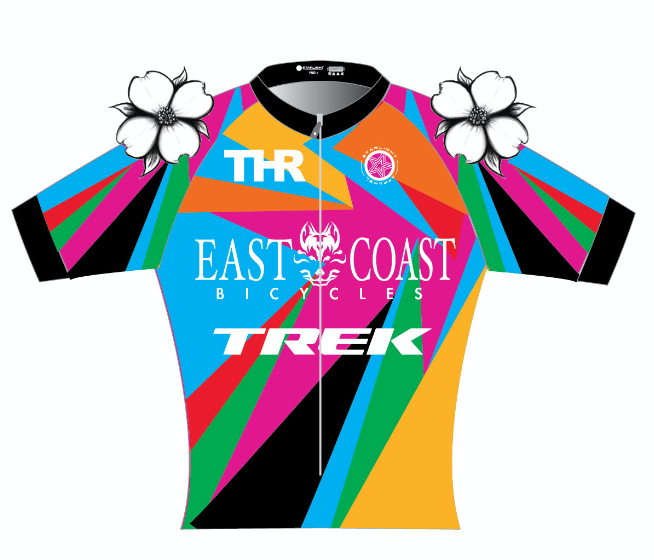 East Coast Bicycles Pro Aero II