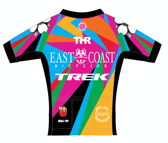 East Coast Bicycles Pro Aero II